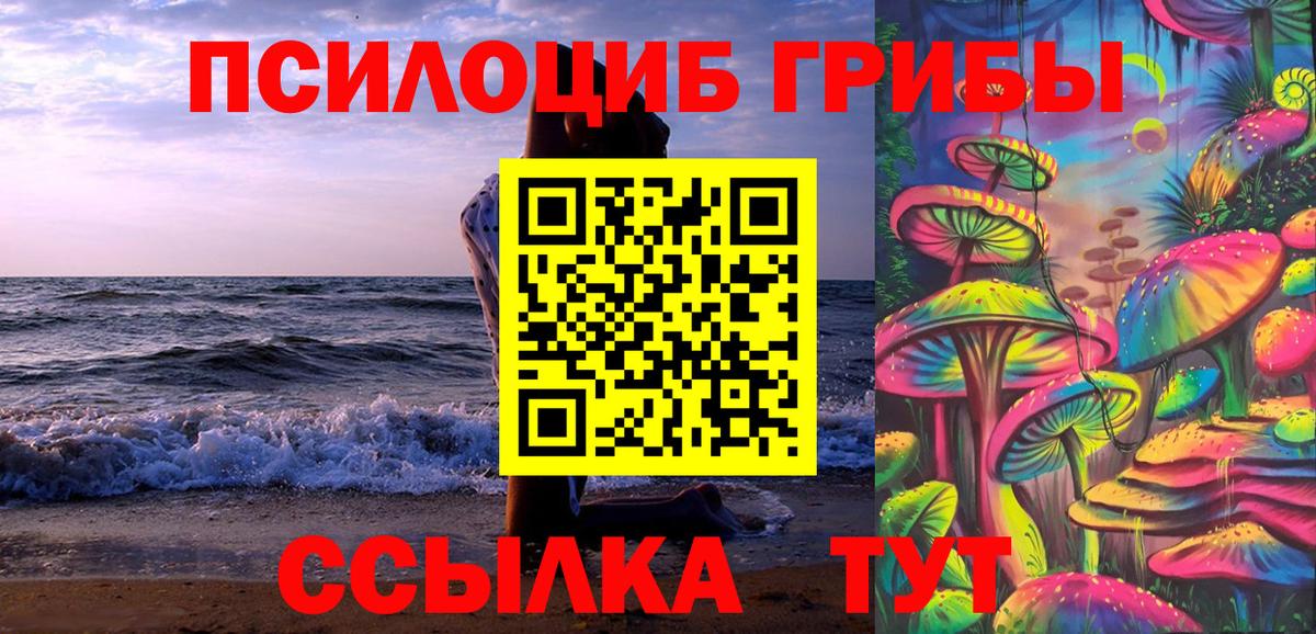 Псилоцибиновые грибы прущие грибы Отрадный