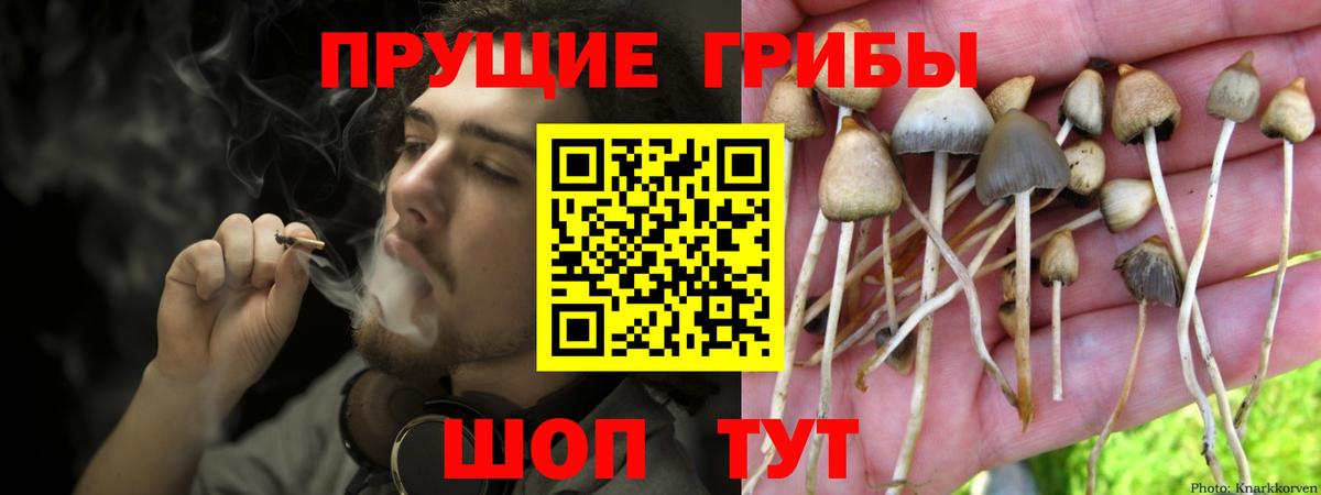 хочу   Вход с VPN  Отрадный  Псилоцибиновые грибы Magic Shrooms 