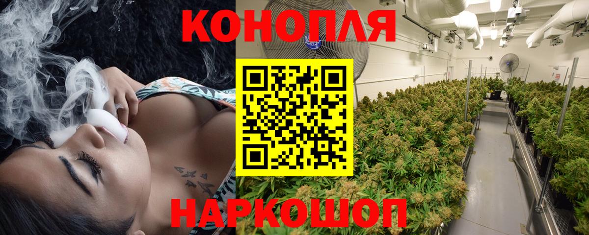 Шишки марихуана марихуана Отрадный